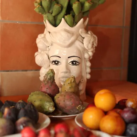 Maiolica San Leone